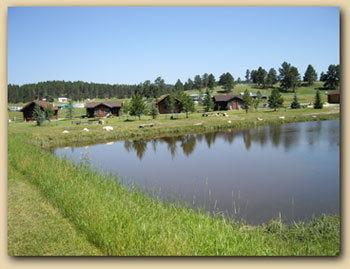 Gold Camp Cabins คัสเตอร์ ภายนอก รูปภาพ